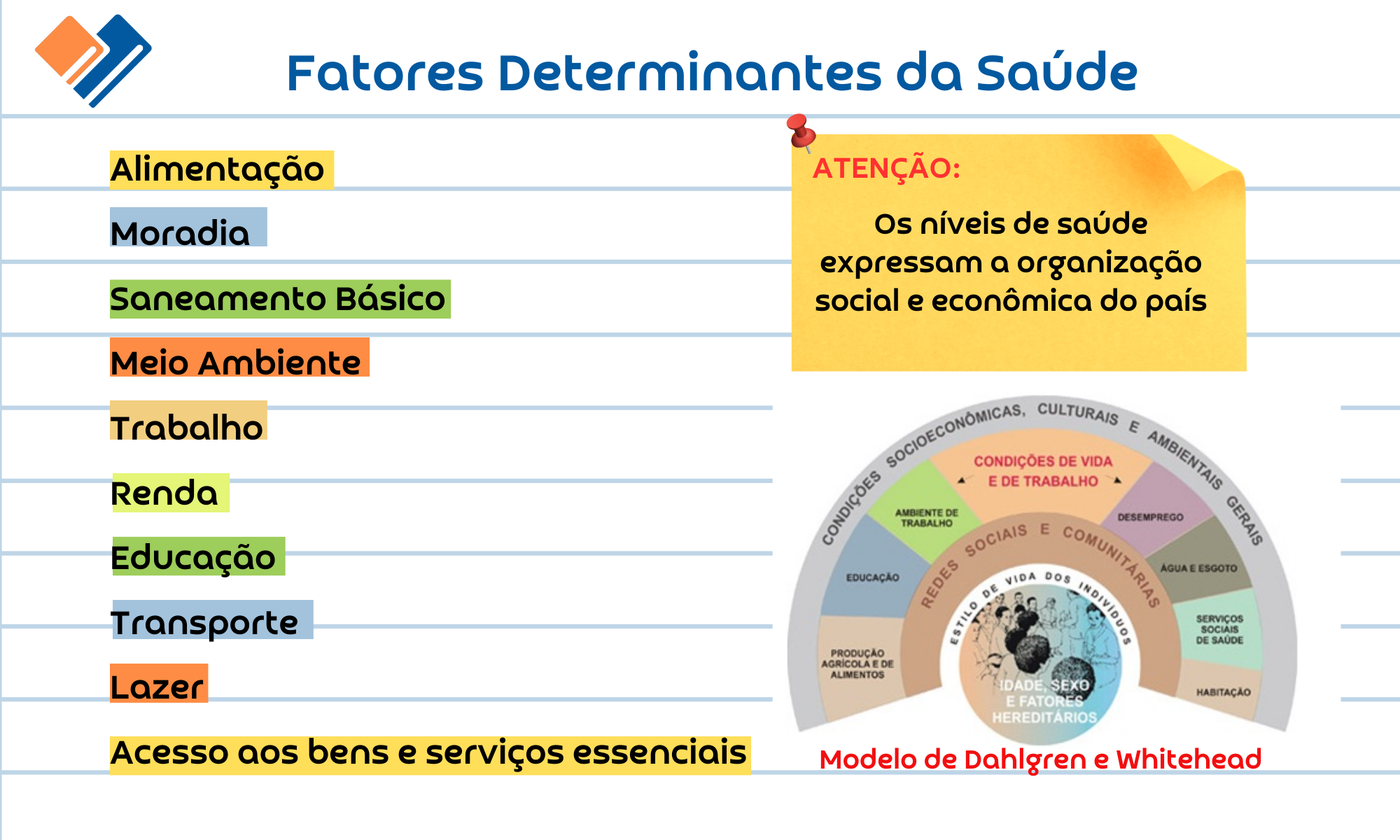 Legisla O Do Sus Flashcards Da Enfer