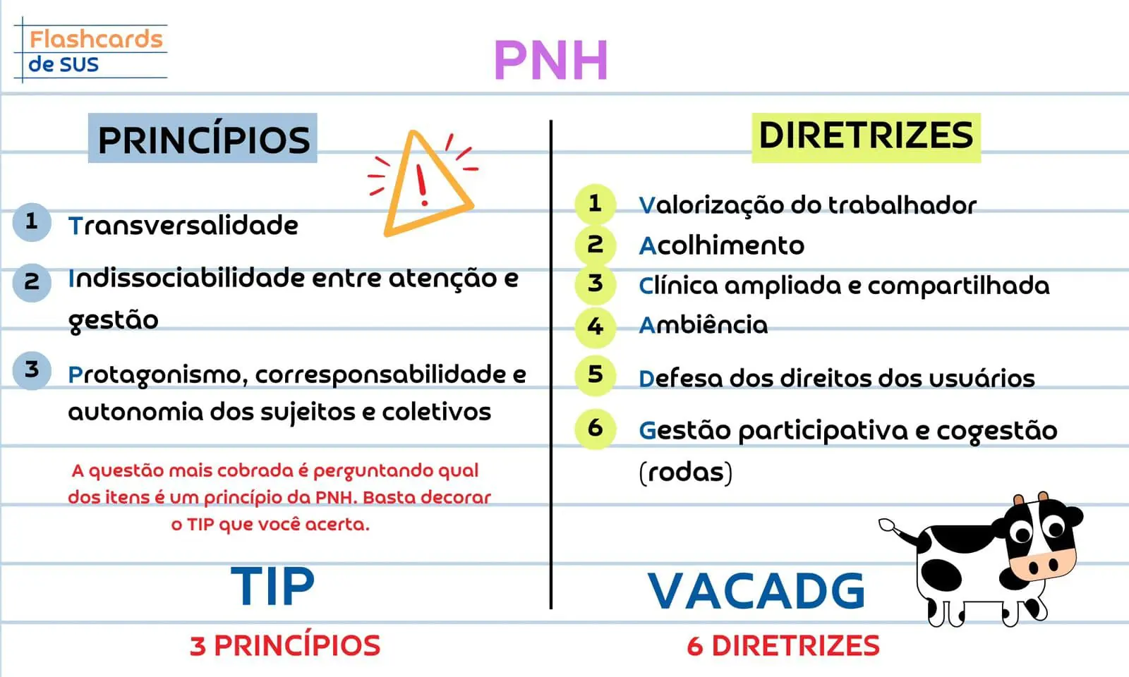 Imagem do WhatsApp de 2025-06-10 à(s) 10.16.53_b2232d9d (1)